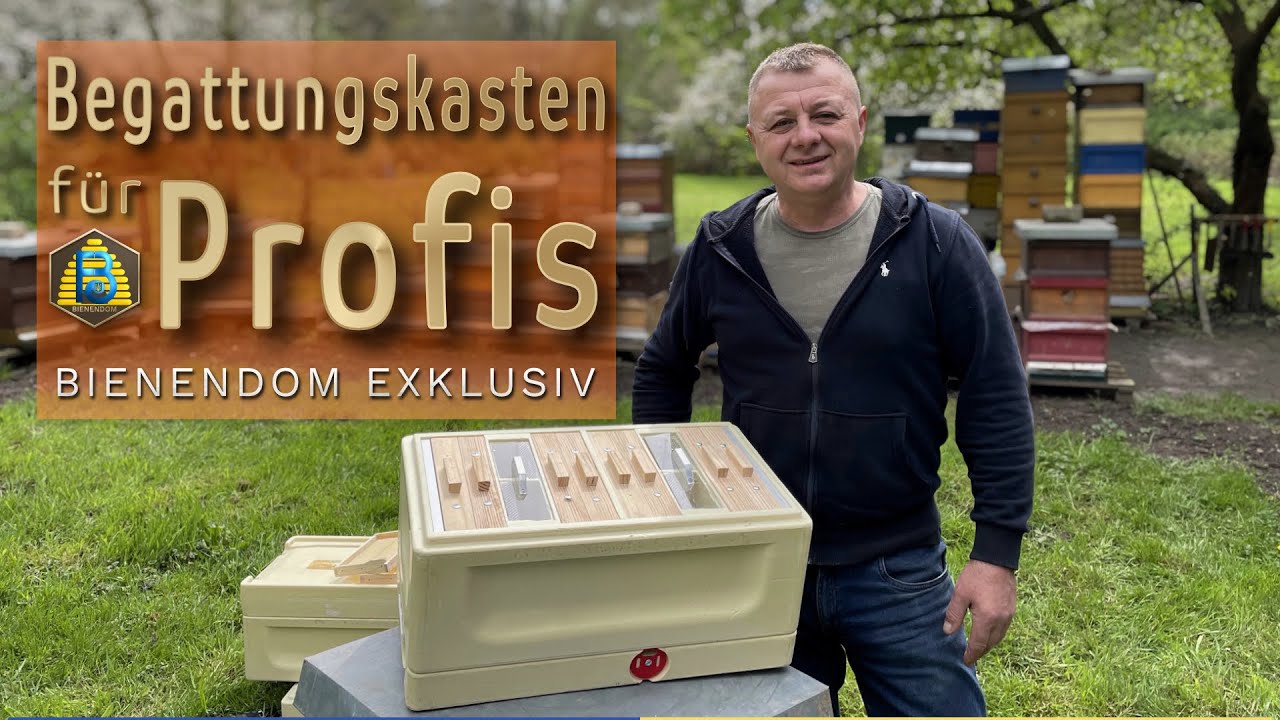Bienendom exklusiv: Professioneller Begattungskasten auf MiniPlus Rähmchen | ReUpload HD