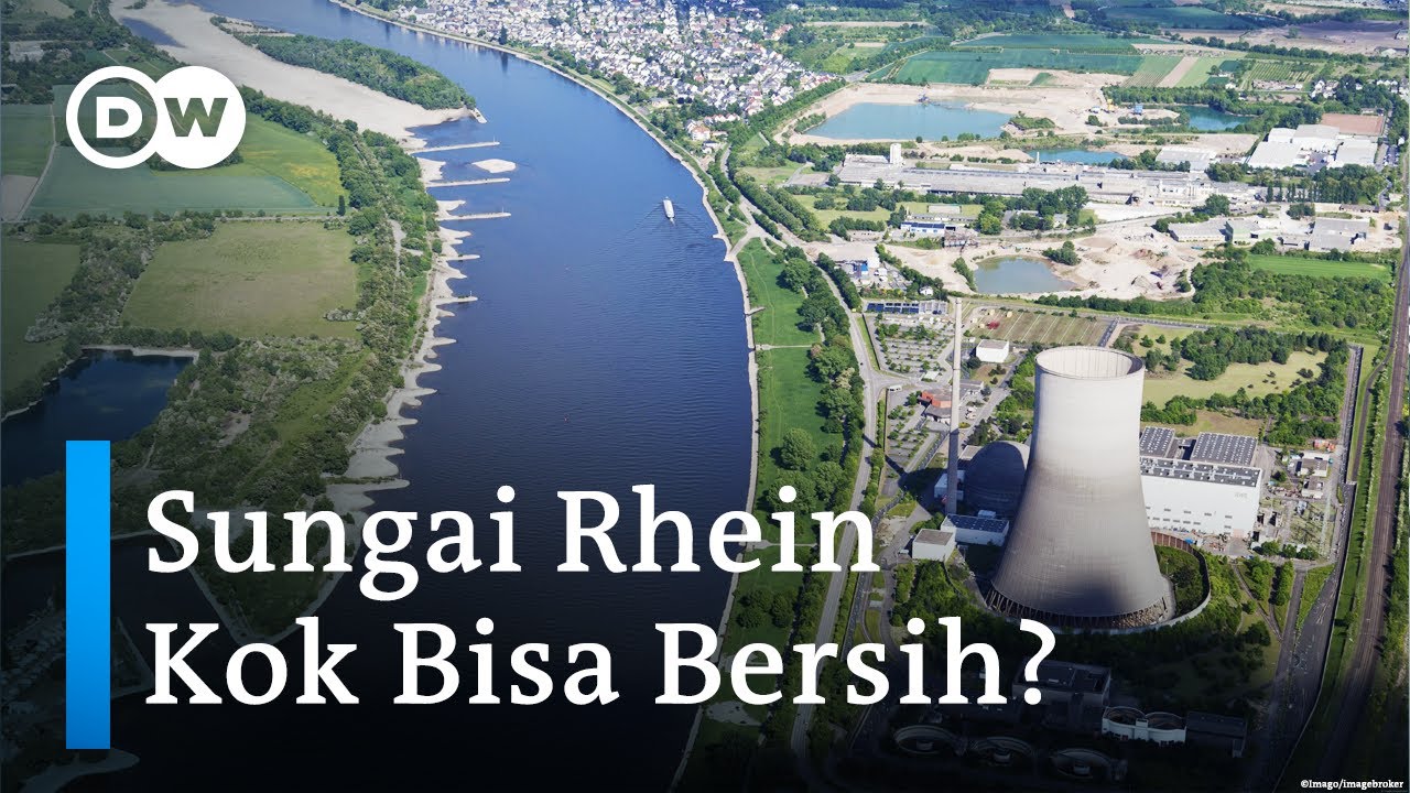 Lihat Cara Jerman Bersihkan Sungai Rhein dari Limbah Industri
