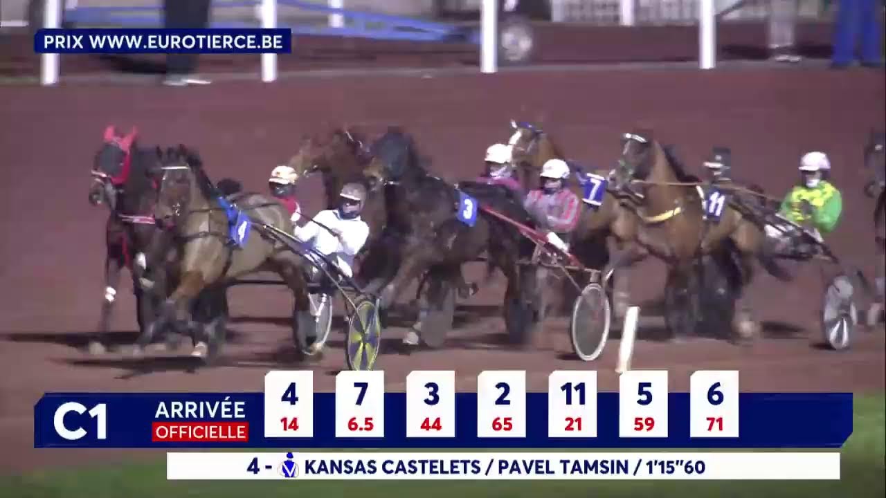 Hippodrome de Wallonie - Courses du 03 Fevrier 2026