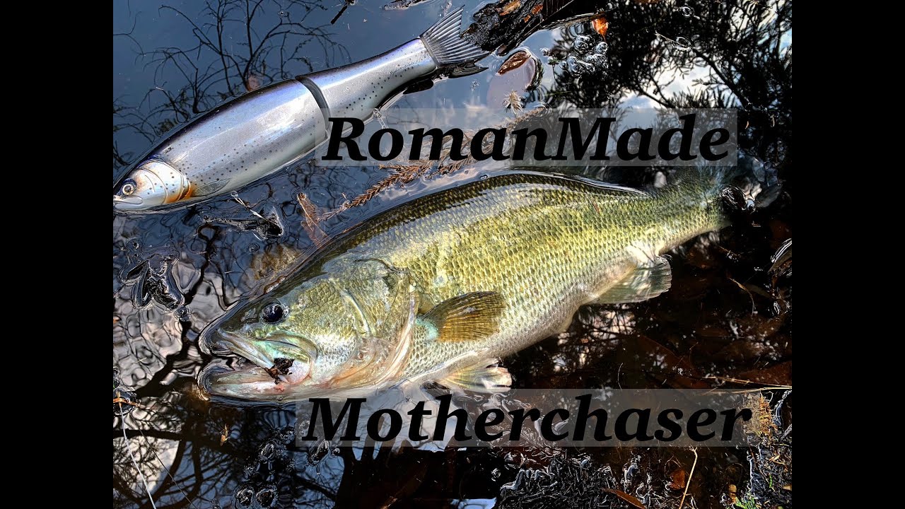 RomanMade Motherchaser【Bassfishing】