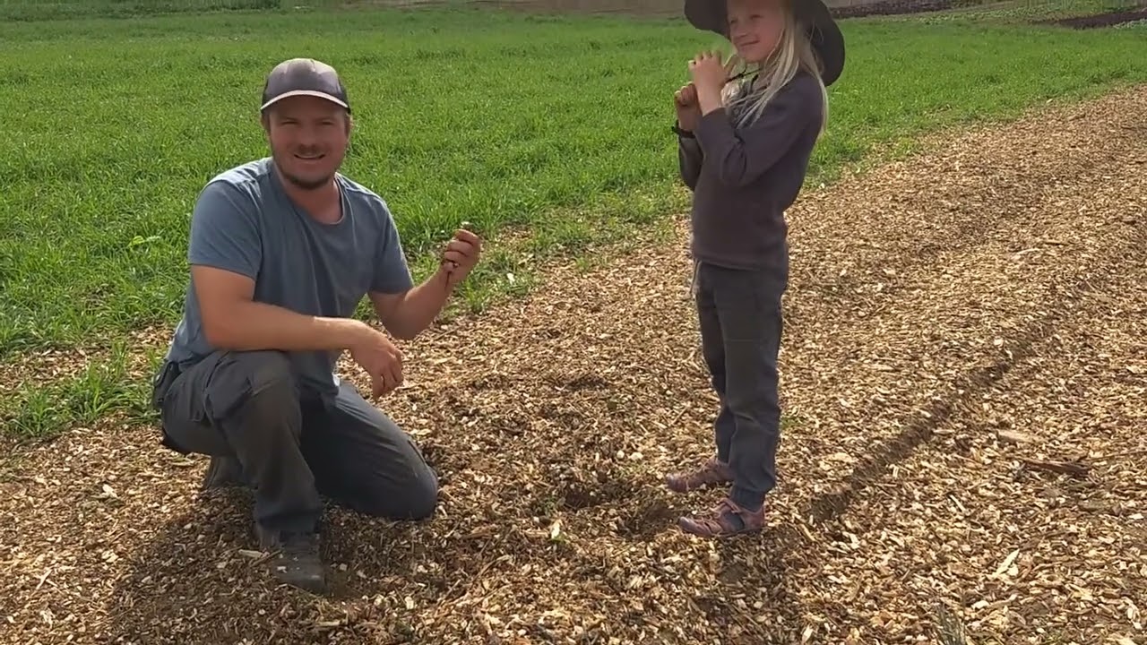 Feeding our soil with wood chips - Ottawa Farm Fresh