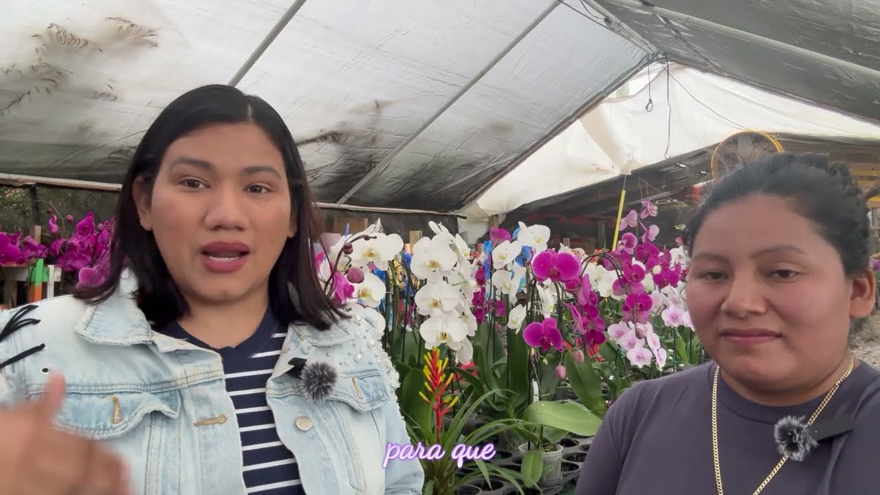 SUEÑO CUMPlIDO- Mujer de Guatemala tiene el Negocio Que Soñaba! 