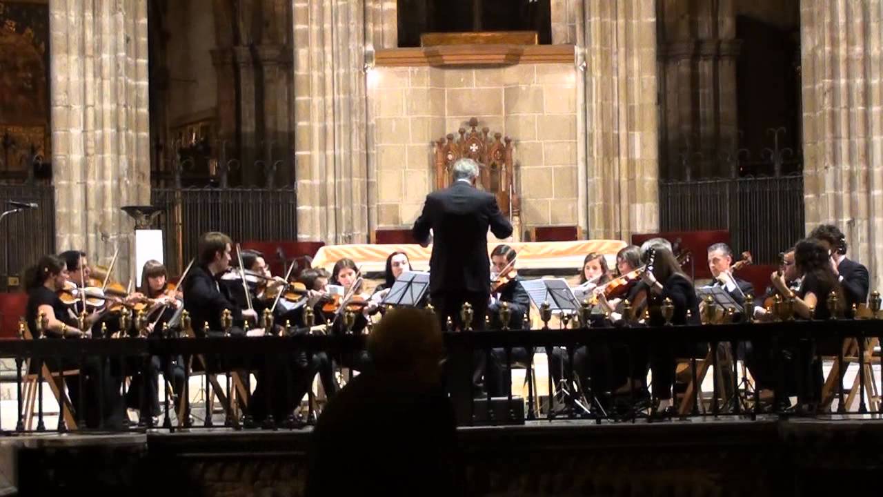 Mediterraneo de Serrat Orquestra de Cambra Salvador Ribas