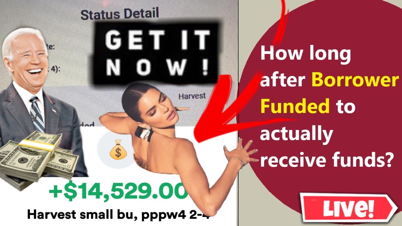 Womply PPP Fast Lane Walkthrough - Bank Connect