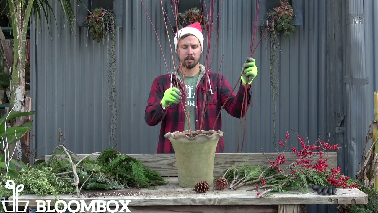 Assembling your BloomBox Winter Porch Pot Kit