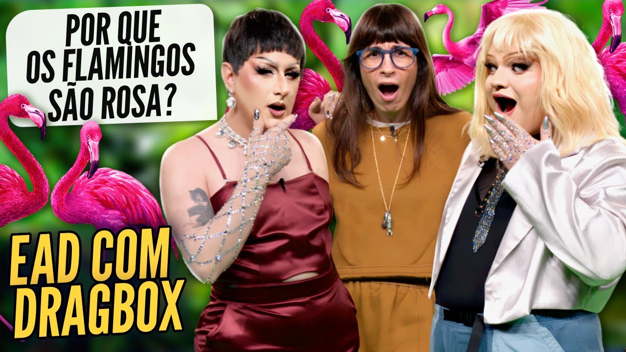 Camila Fremder Responde Perguntas no EAD com Dragbox