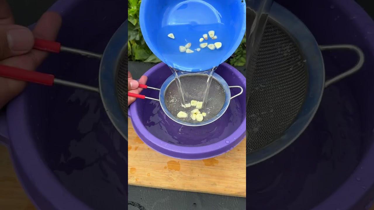 Como hacer un buen fungicida natural para las plantas