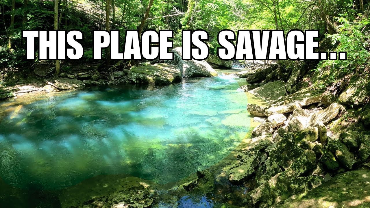 Hidden Blue Holes of Savage Gulf (Beyond Greeter Falls)