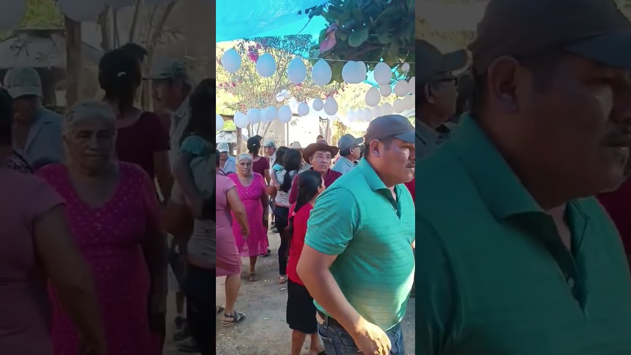 MR Chepe Musical de San Agustín Loxicha