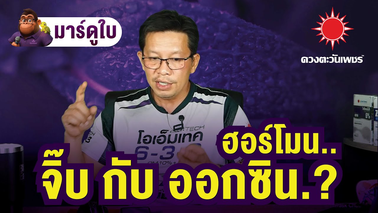 ฮอร์โมน​ #จิบเบอเรลลิน​ vs​ #ออกซิน