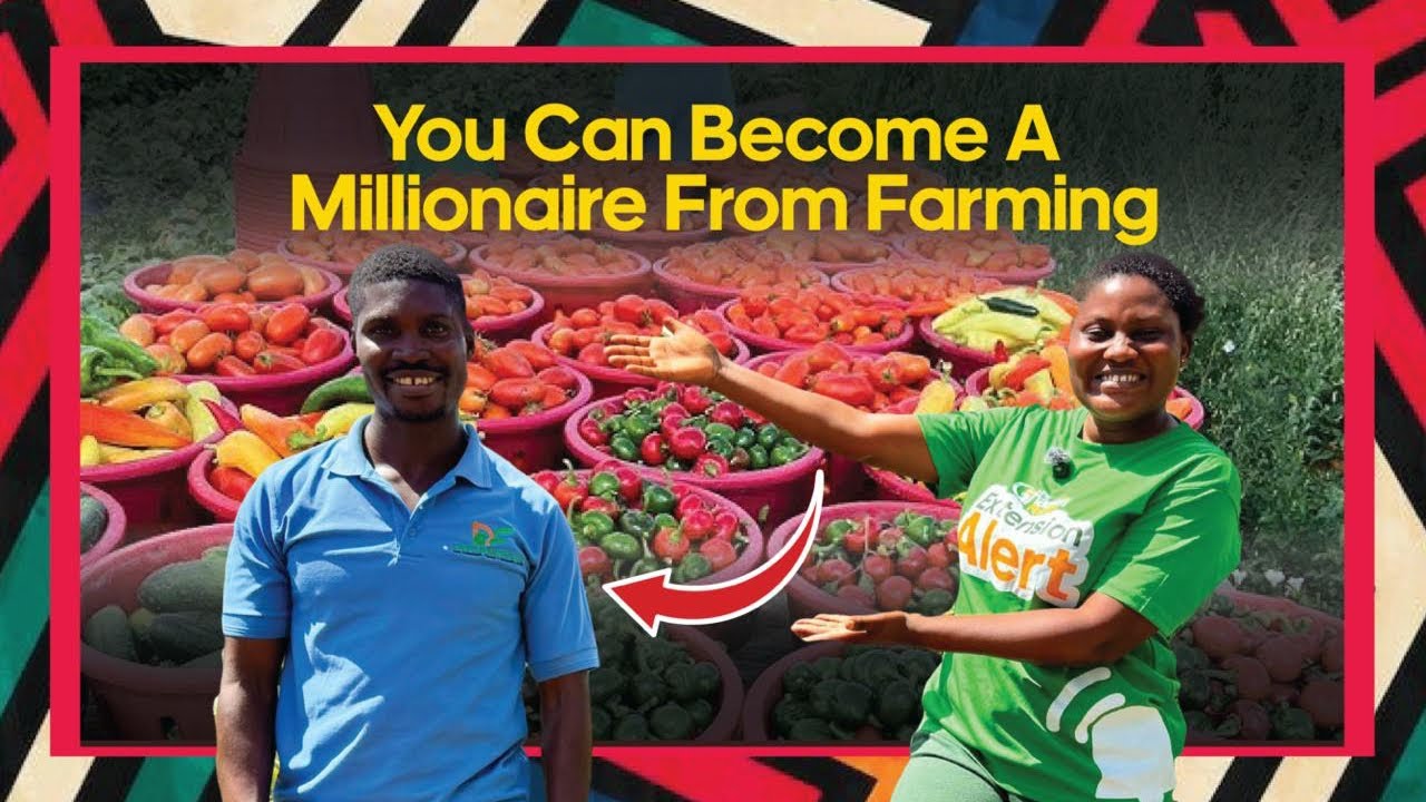 MILLIONAIRE FARMER ALERT || Meet Ghana's Agronomist Who's Turning Farming Into A GOLDMINE. 