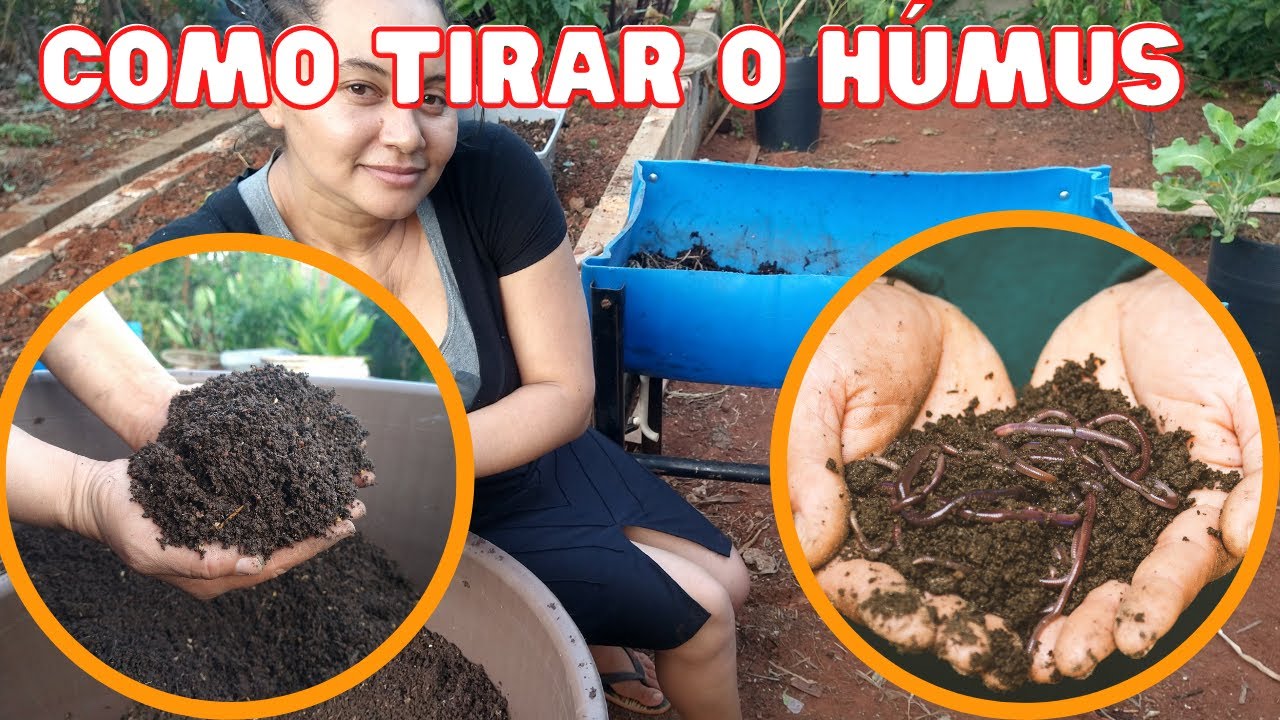 Retirando o Húmus da nossa Composteira! Ficou Incrível.