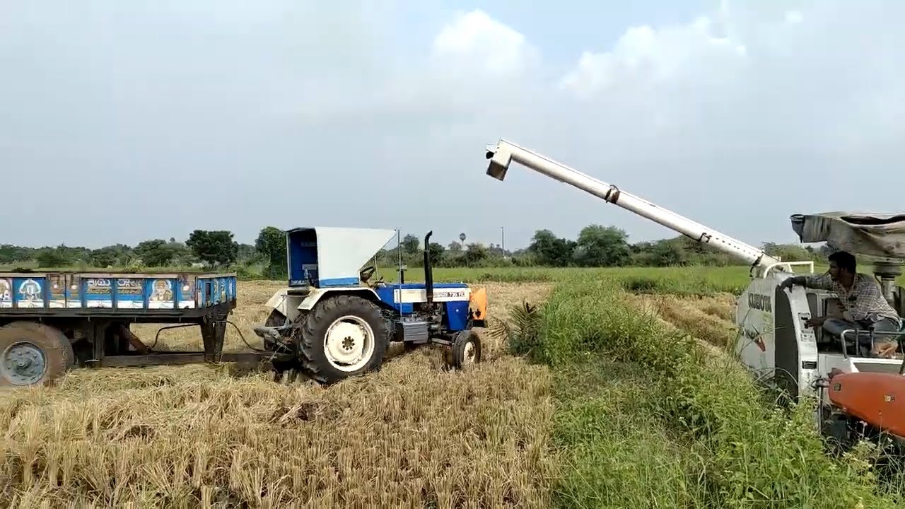 Kubota track Harvesting | Harvester work video #cometovillage #tractorstunt #tractorspotter