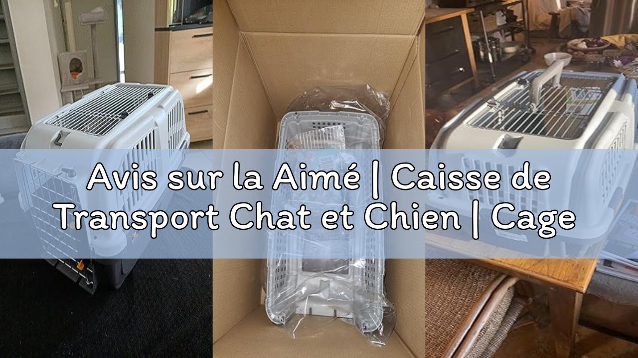 Avis sur la Aimé | Caisse de Transport Chat et Chien | Cage de Transport pour Chien et Chat avec Aér