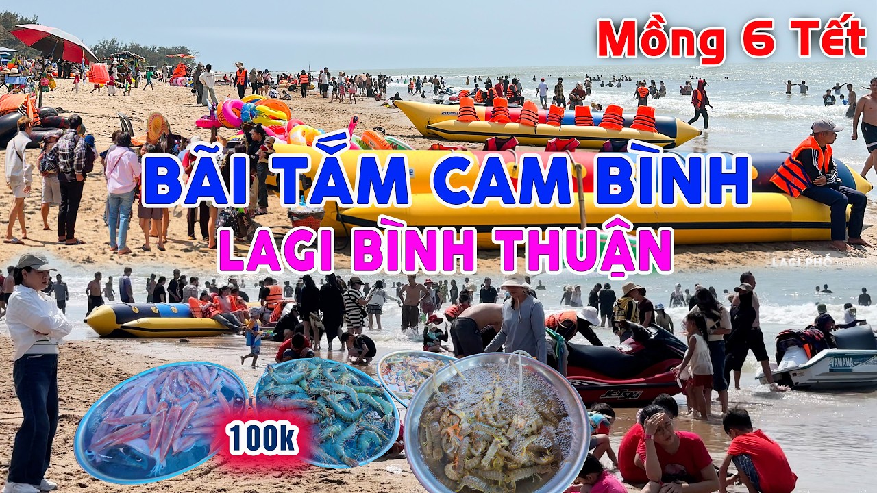 409. BÃI TẮM CAM BÌNH LAGI BÌNH THUẬN / Mùng 6 Tết Quá Đông, Ghẹ chỉ 100k/kg Thoải Mái Lựa Chọn
