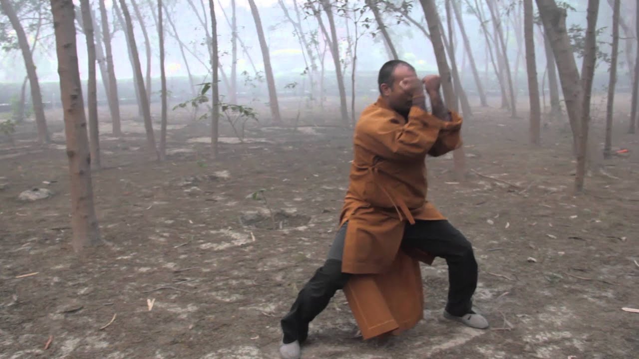 Shaolin Xin Yi Quan - Shifu Kanishka ( Shi Yanyou)