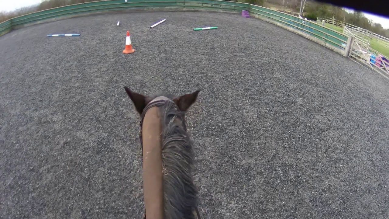 TACK UP & RIDE WITH ME - Rehab Polework Exercises (Cambox V4 Pro Headcam)