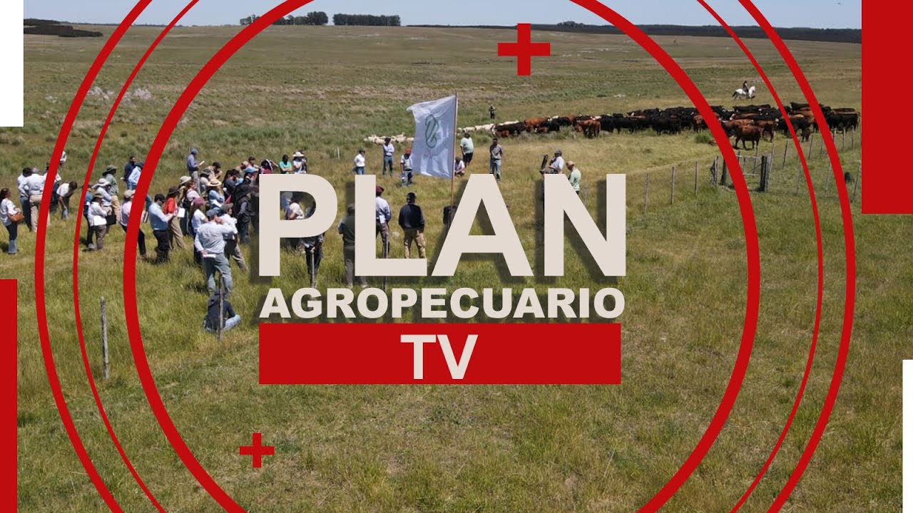 Programa del Plan Agropecuario del 17 de noviembre de 2025