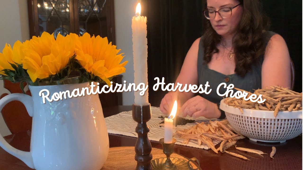 Harvest Abundance 🌻🍎