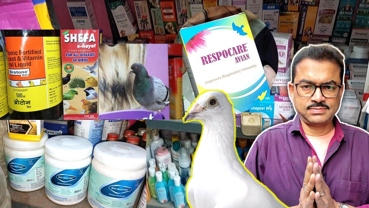 Pigeon Medicine Shop 💊 - Kamala Medical  | Poultry/Veterinary Medicine Store in Kolkata West Bengal