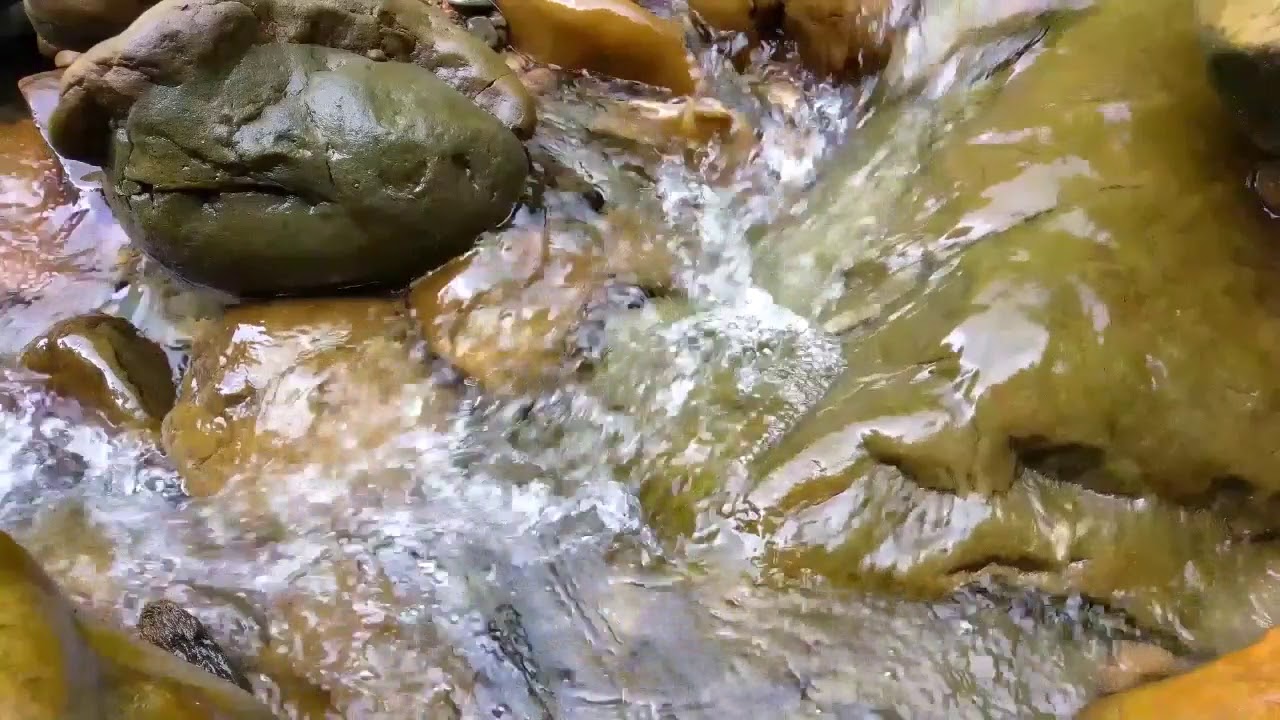 Sonido de arroyo & riachuelo para dormir, estudiar_Sonido de la Naturaleza