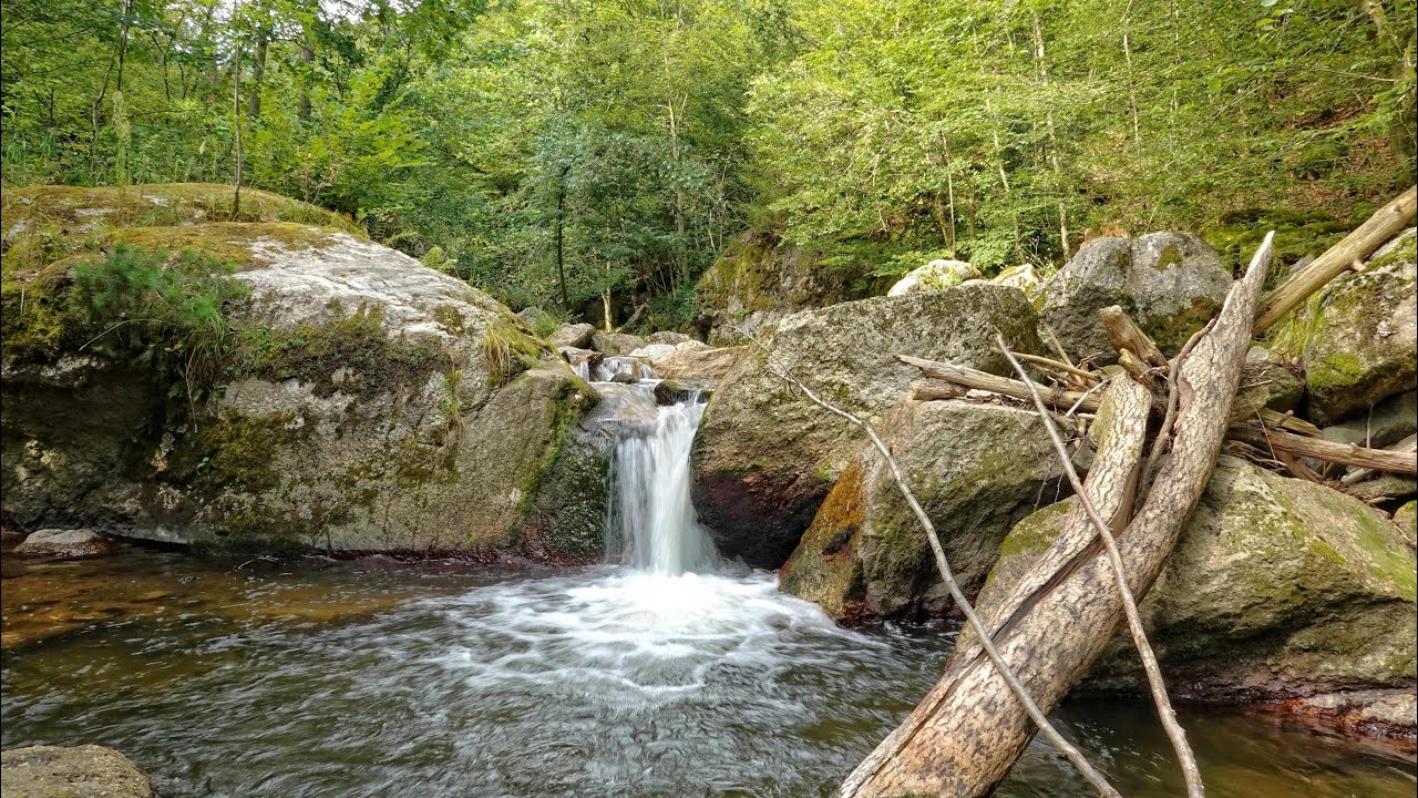 Impressionen vom Pesenbach - Pesenbachtal,  im Juli 2024
