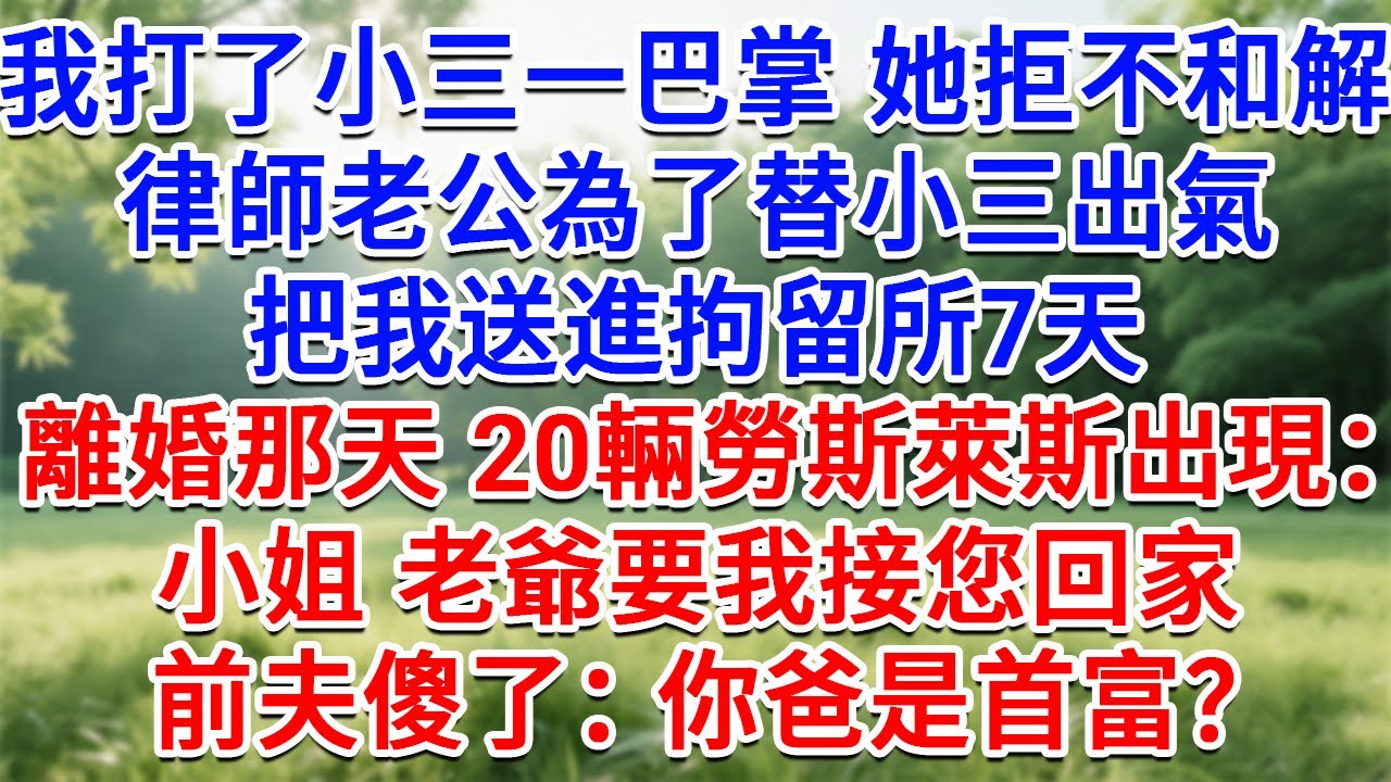 我打了小三一巴掌她拒不和解，律師老公為了替小三出氣，把我送進拘留所7天，離婚那天20輛勞斯萊斯出現：小姐 老爺要我接您回家！前夫傻了：你爸是首富？#生活經驗#情感故事#故事#小說#戀愛#情感#婚姻