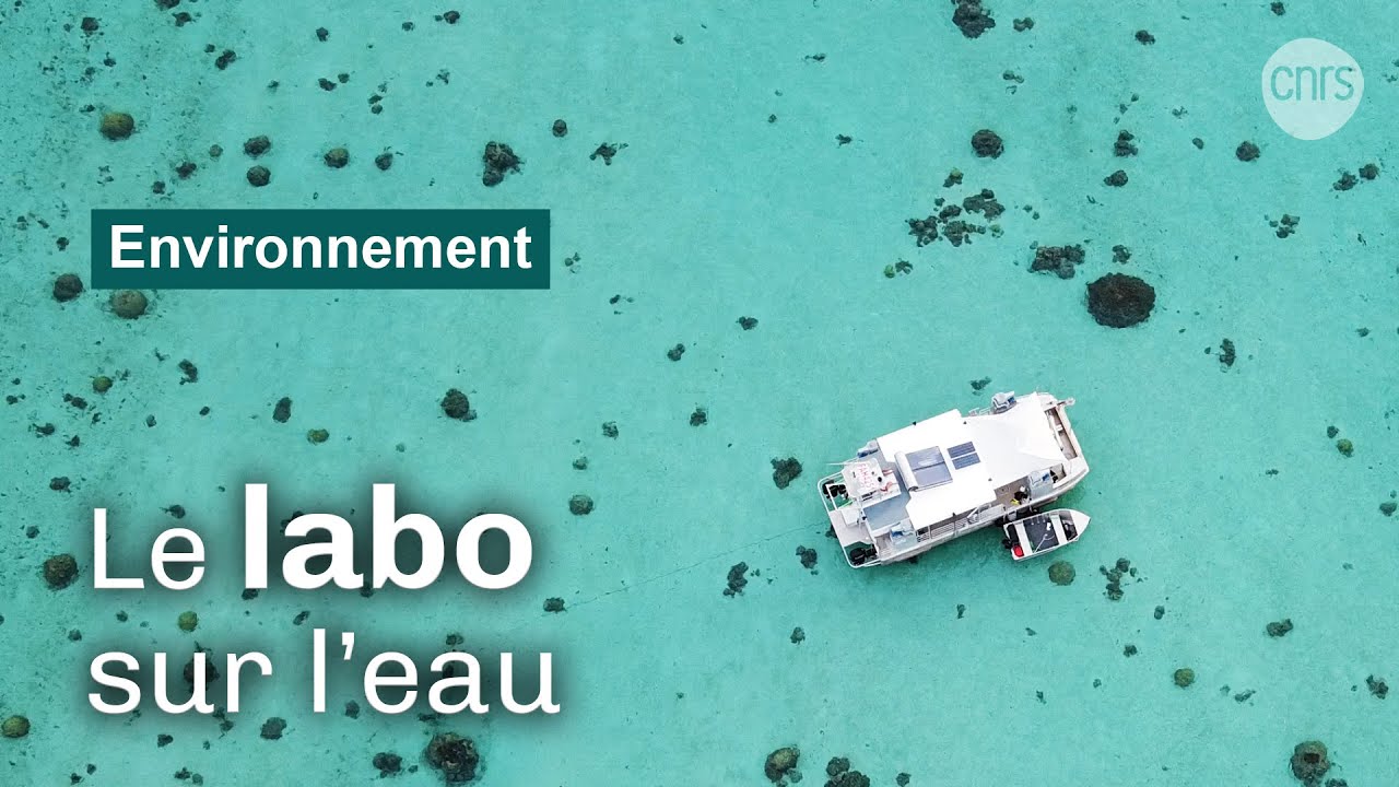Le labo sur l'eau | Reportage CNRS