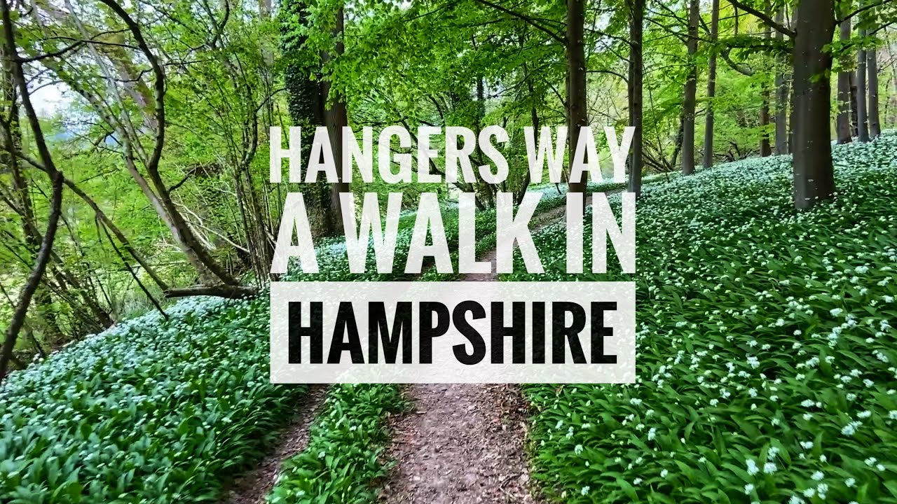 Hangers Way | Early Bank Holiday Walk in Hampshire | Type 1 Diabetes Hike