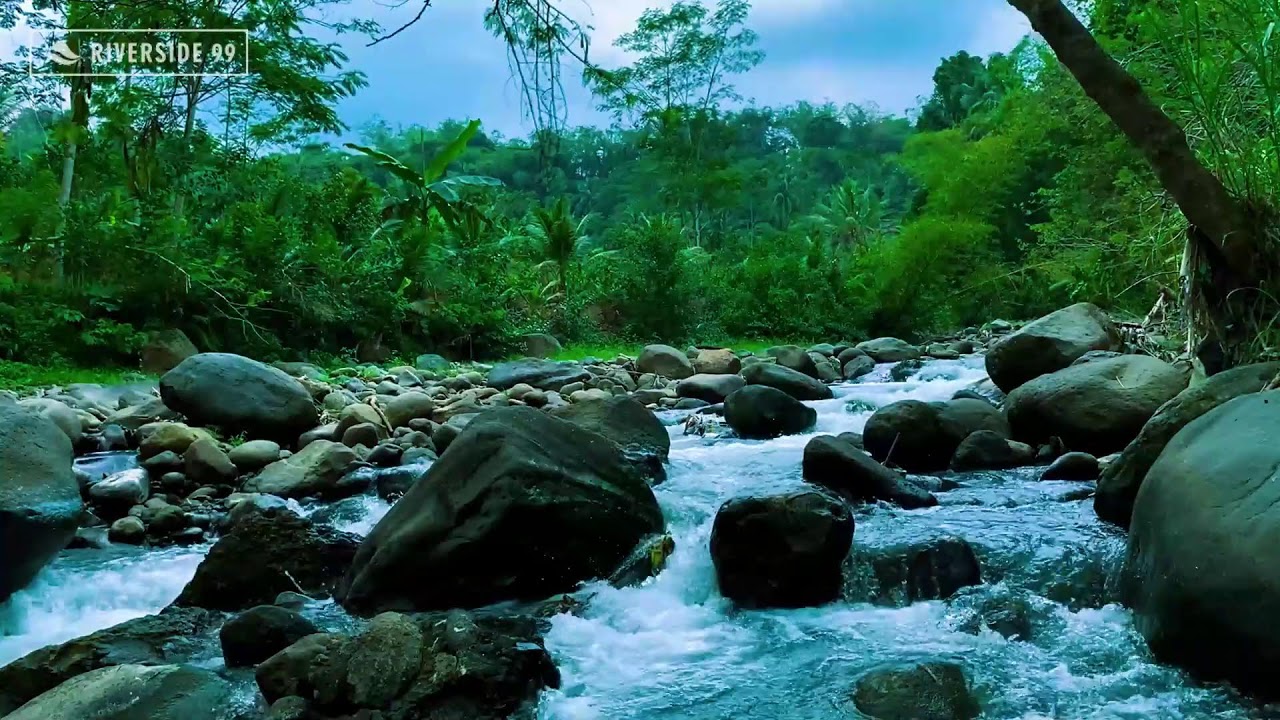 River Sounds White Noise for Deep Sleeping | Peaceful Natural Water Flow Ambience