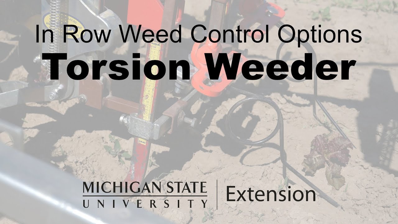 Torsion Weeder - In Row Weed Control Options