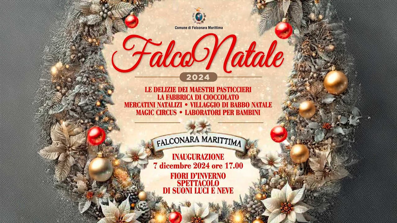 Spettacolo Completo - FalcoNatale 2024
