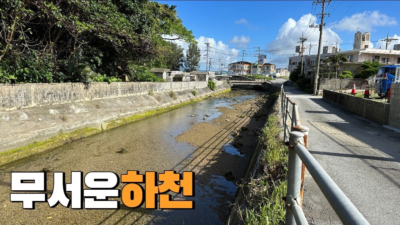 이 하천은 밤이 되면 엄청난 것들이 출몰합니다!