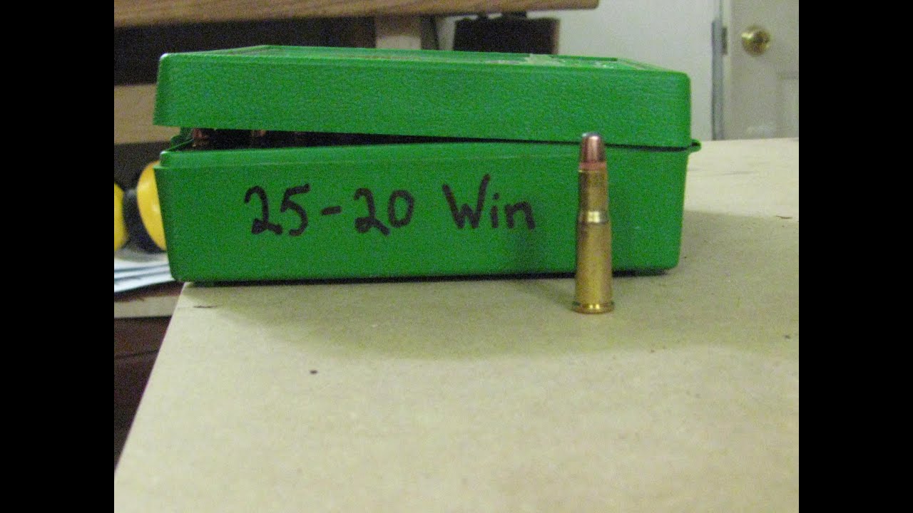 Savage Arms 