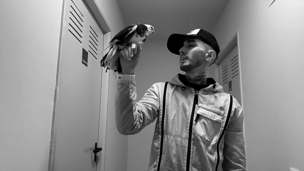 Impobrediablo - NO VALORAN NADA (Prod 1Guilthy)