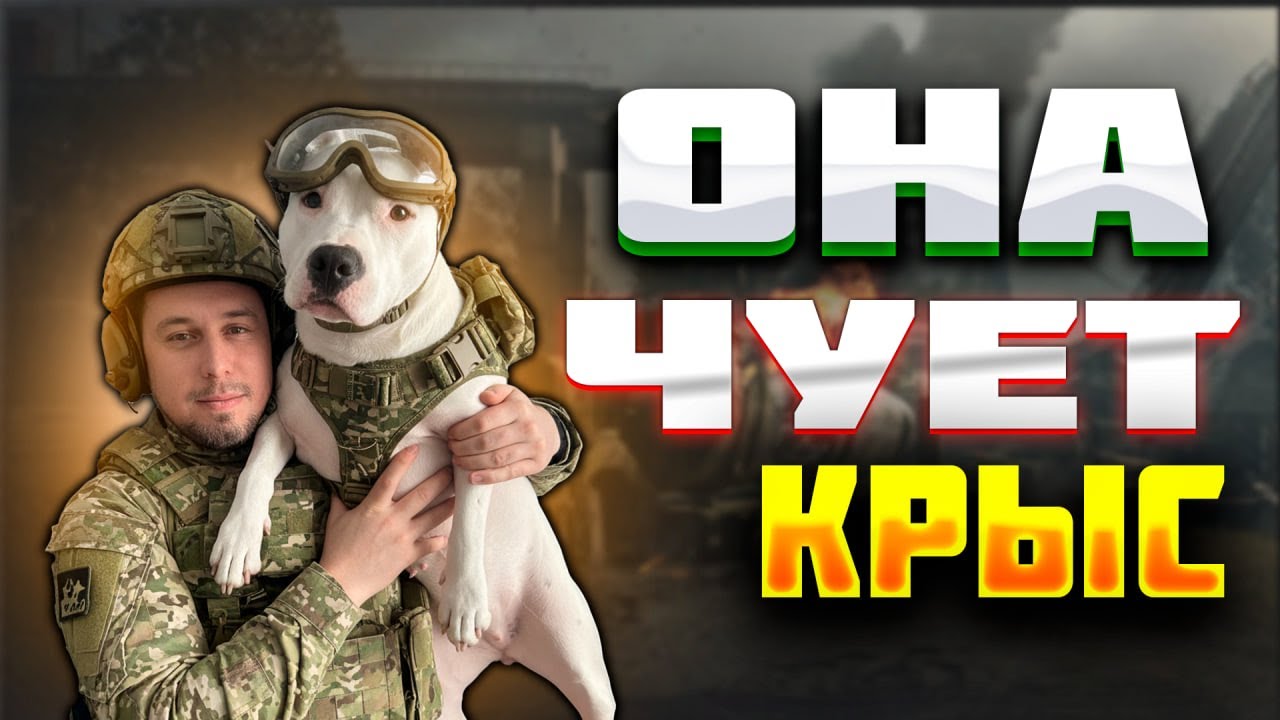 ИГРАЮ С РАДАРОМ НА КРЫС В АРЕНА БРЕЙКАУТ