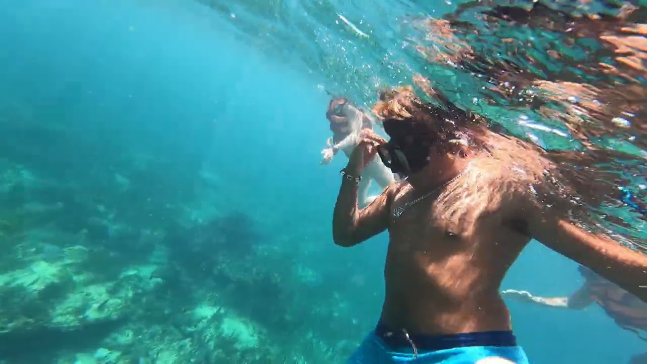 caracol whale shark tour 14