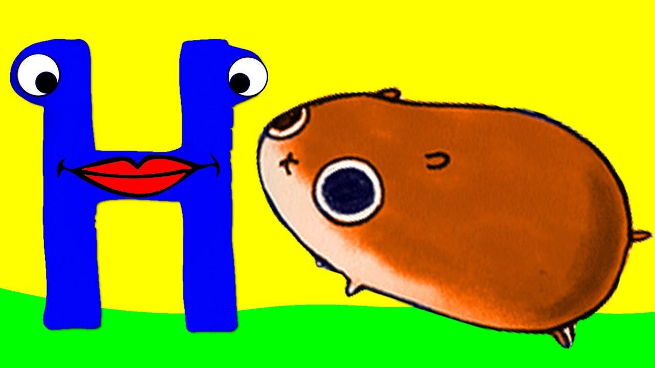 Learn the Alphabet Animals - Letter H - HAMSTER
