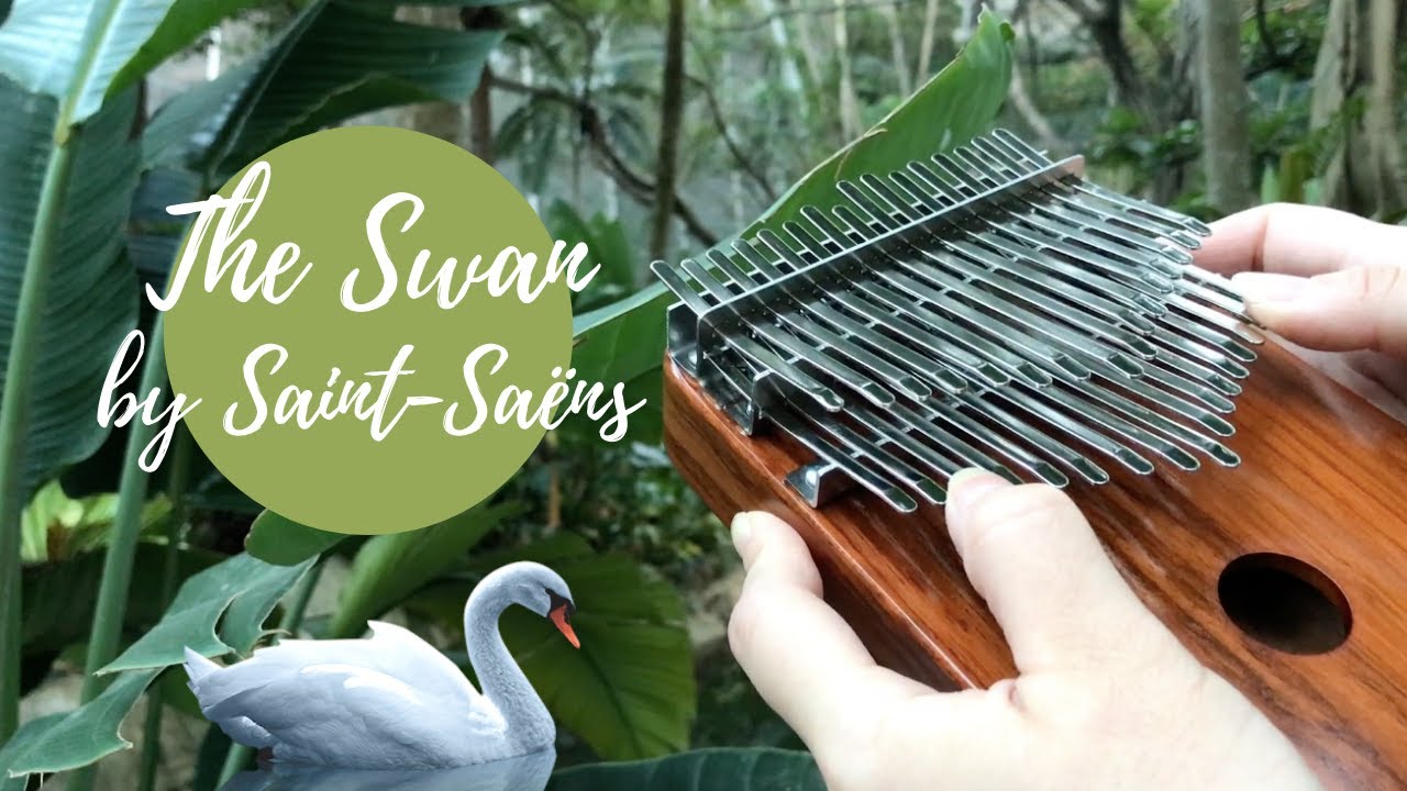 The Swan by Saint-Saëns (Kalimba Cover)