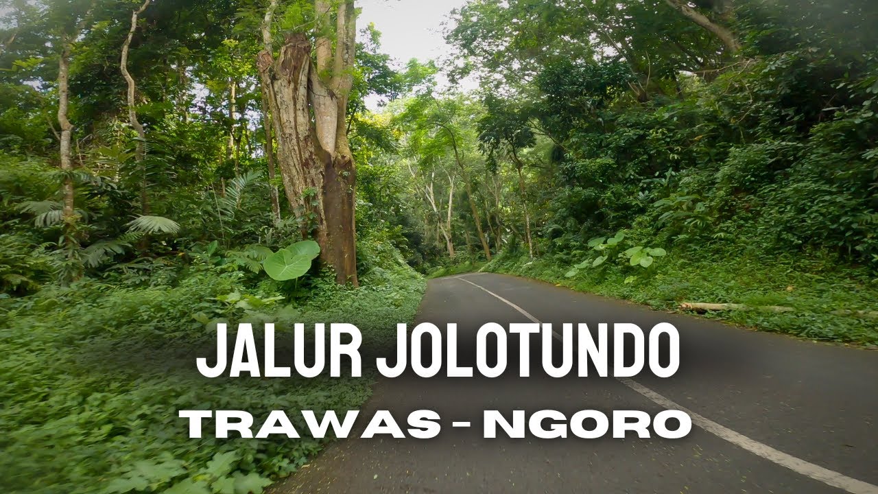 TRAWAS - NGORO VIA JALUR JOLOTUNDO TRAWAS MOJOKERTO