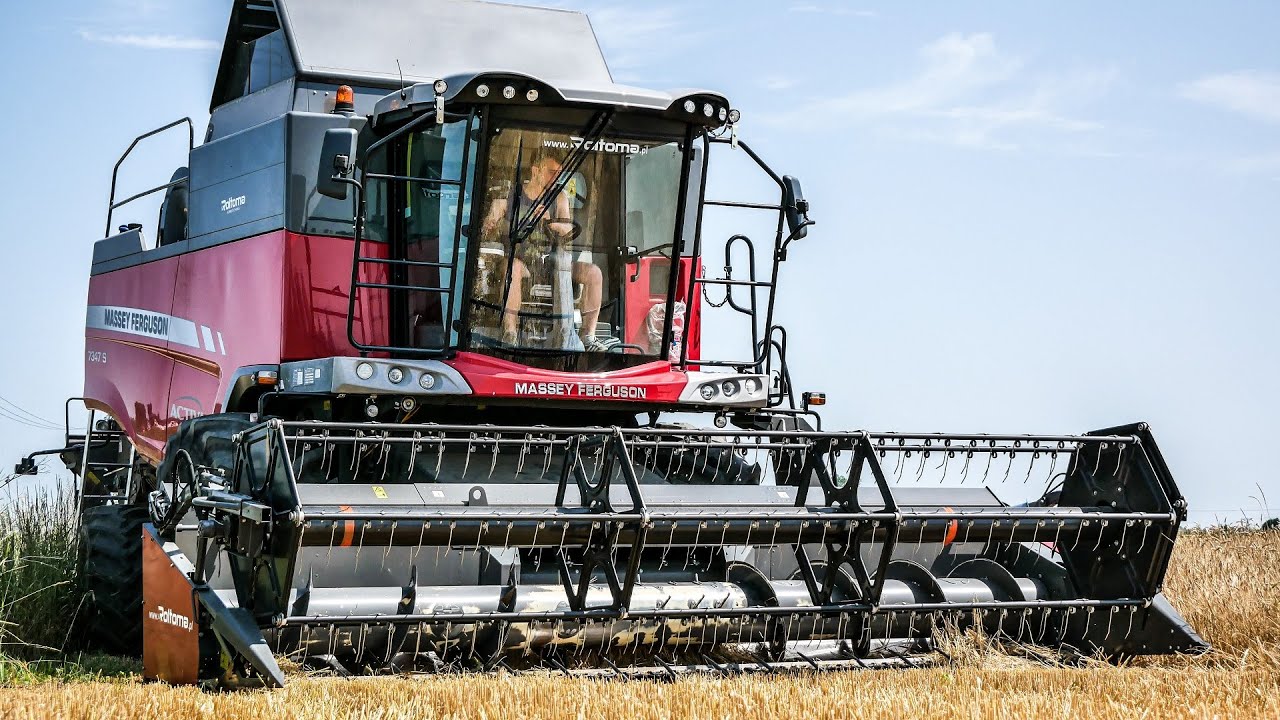 NOWY MASSEY NA REJONIE! | ŻNIWA 2022 w GR Wojewódzki & UR Kobyliński