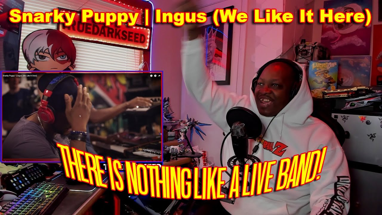 Snarky Puppy Lingus (We Like It Here) - Reaction (Truedarkseed)