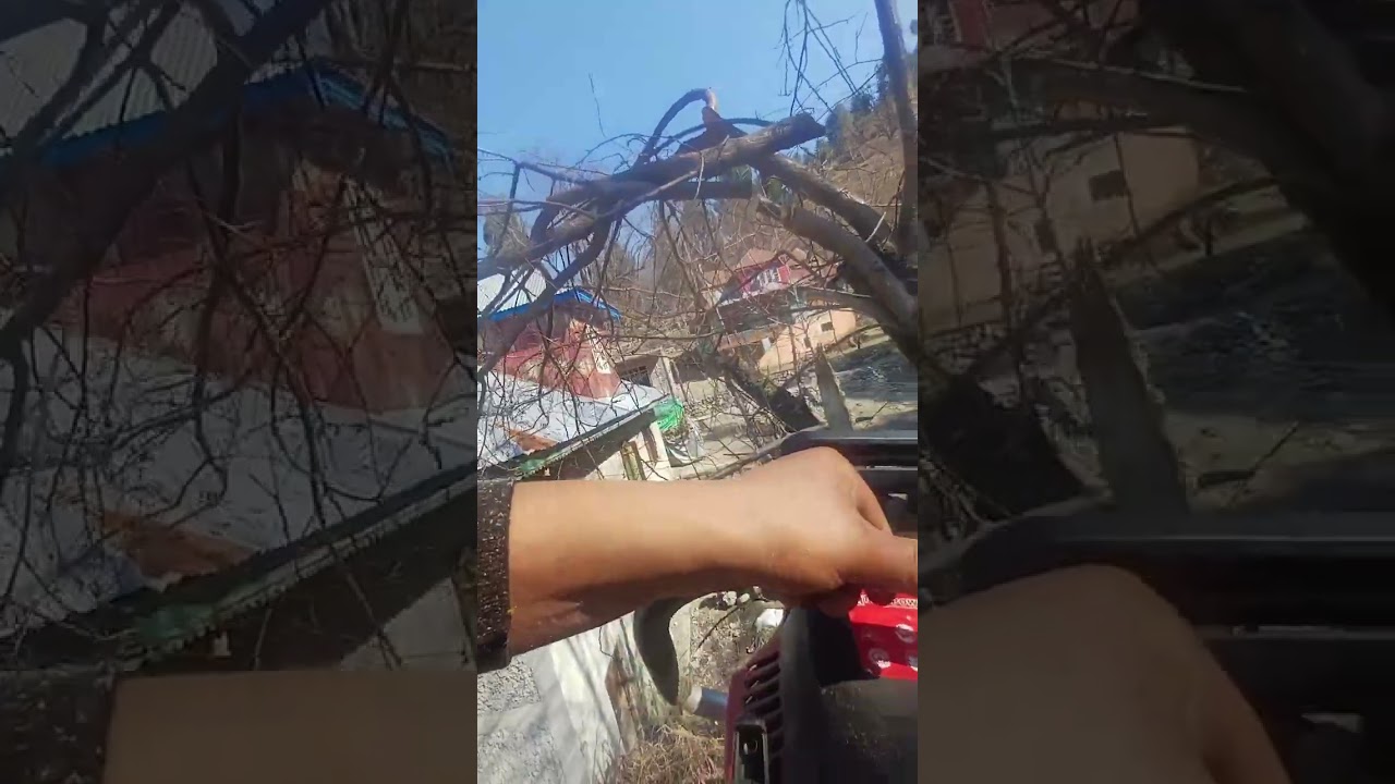 Chainsaw #Chainsaw #woodcutter 