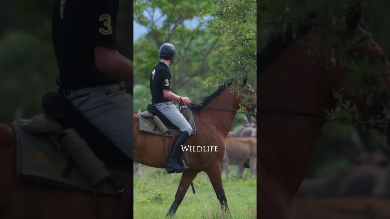 Signature Horse Safari in South Africa - 8 days of fun and adventure with your horse