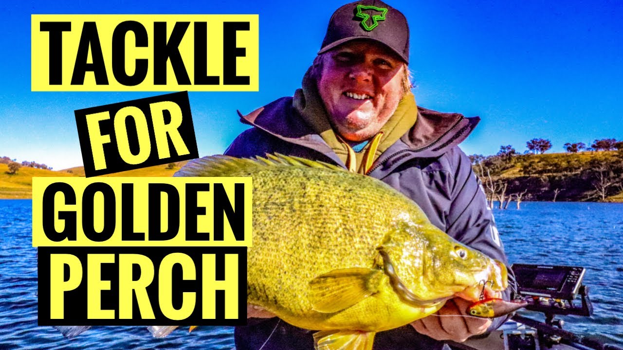 The best tackle to Catch Yellow belly (Golden Perch)