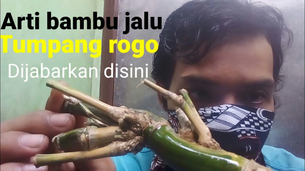 BAMBU UNIK JALU TUMPANG ROGO & KEGUNAANYA