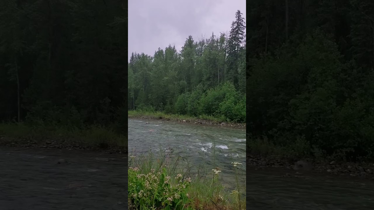 A Moment of Silence in Nature - Rainy Day by River (Pt 1)