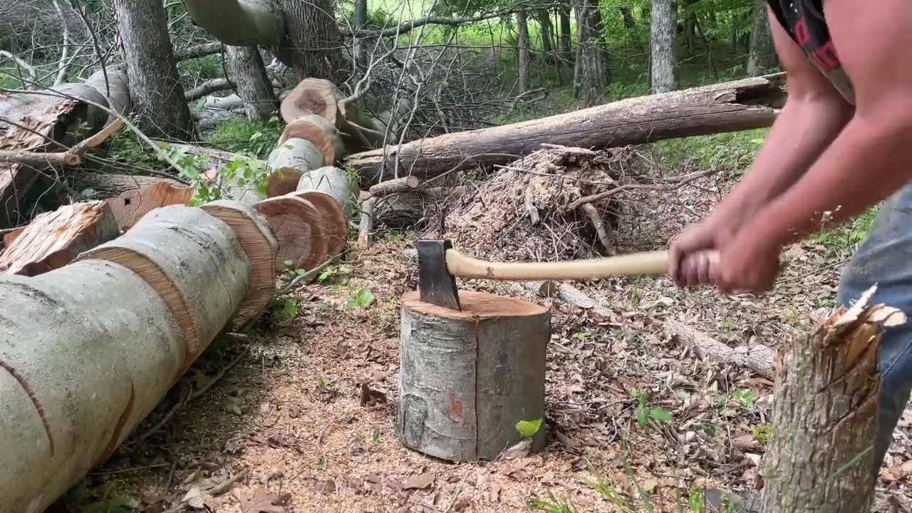 Stihl 046 Plus The Casterman Classic