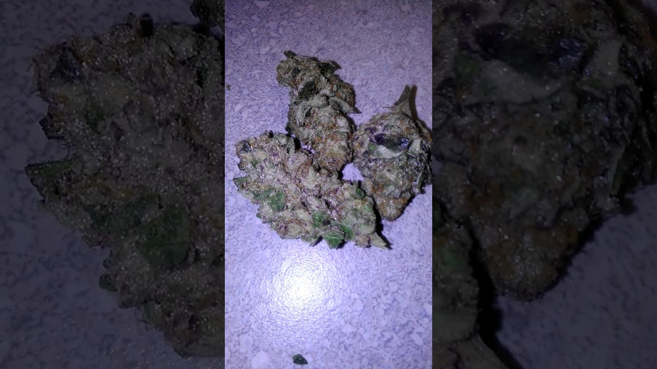 OGKB (OG Kush Breath)