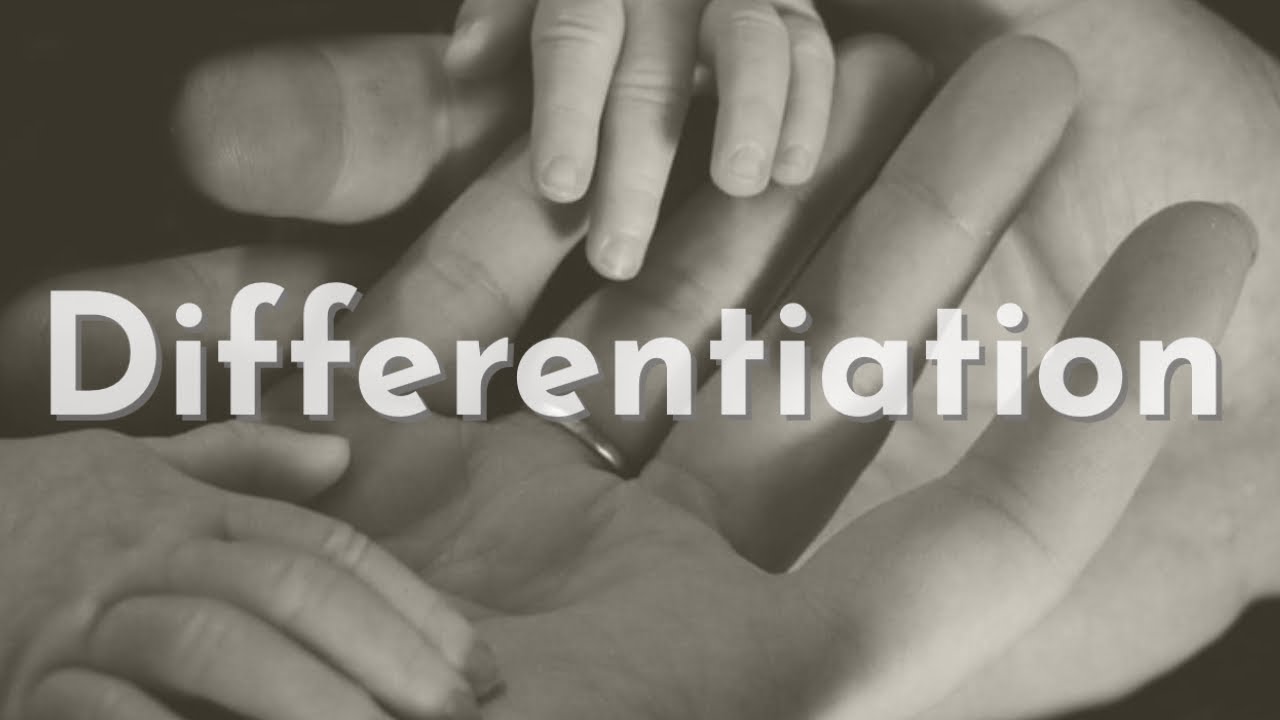 Differentiation (Rerun)
